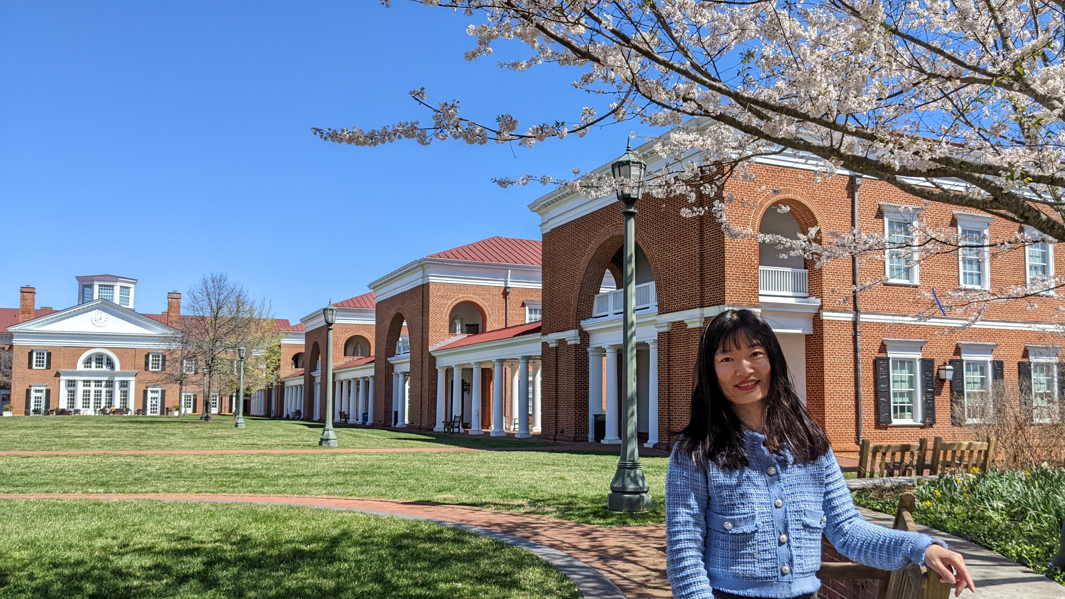 Darden garden with cherry blossom