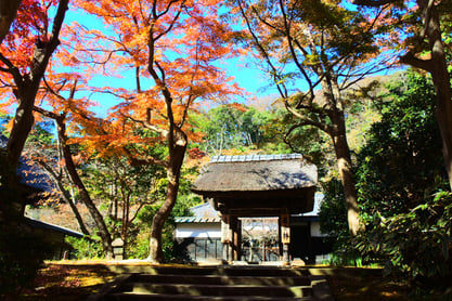 Hitotsubashi ICS Japanese culture4